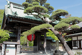 Hase-dera Temple
