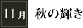 11月「秋の輝き」