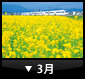 3月