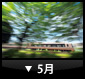 5月