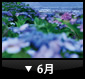 6月