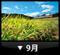 9月