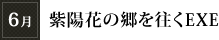 6月「紫陽花の郷を往くEXE」