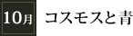 10月「コスモスと青」
