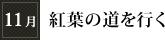 11月「紅葉の道を行く」