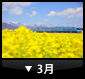 3月