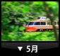 5月
