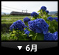 6月