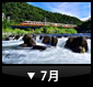 7月