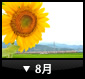 8月