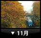 11月