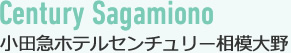 小田急ホテルセンチュリー相模大野