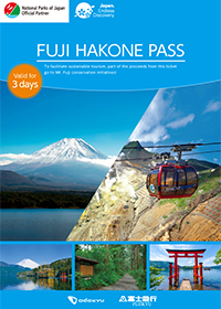 Fuji Hakone Pass