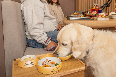 ワンちゃんと食事のイメージ
