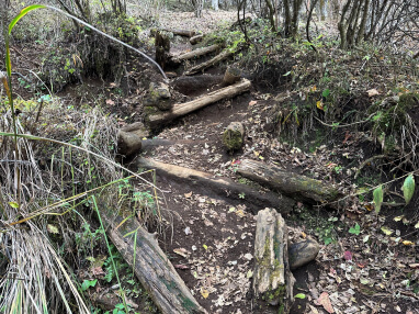 荒廃した登山道のイメージ