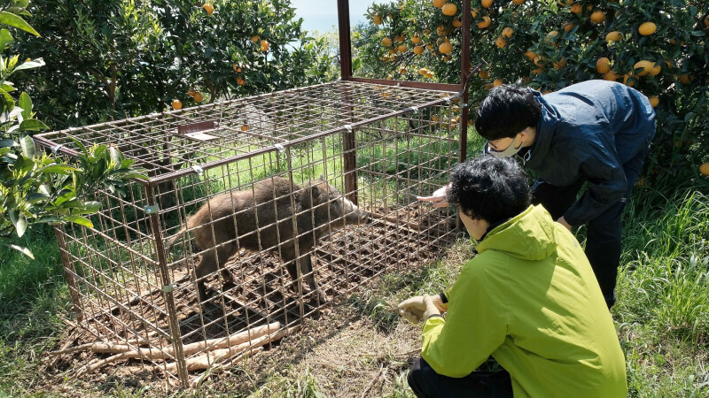 ハンターバンクの活動イメージ