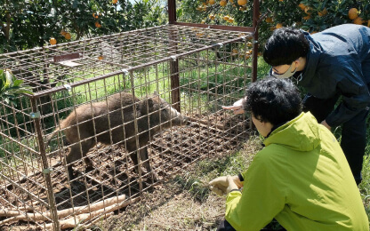 サムネイル画像
