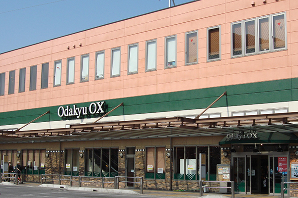 Odakyu OX