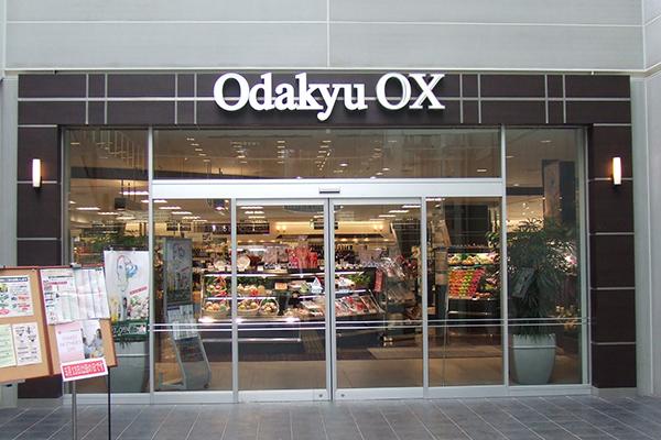 Odakyu OX