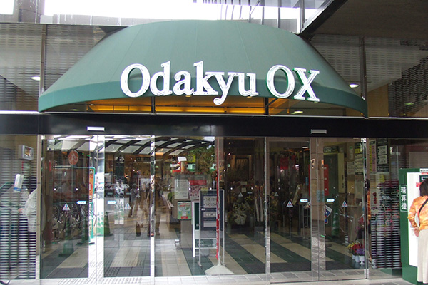 Odakyu OX