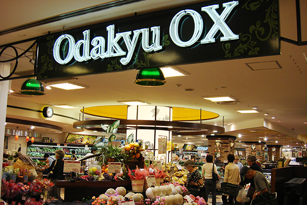 Odakyu OX