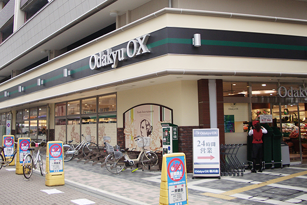 Odakyu OX