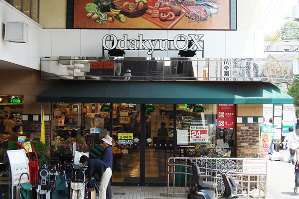 Odakyu OX