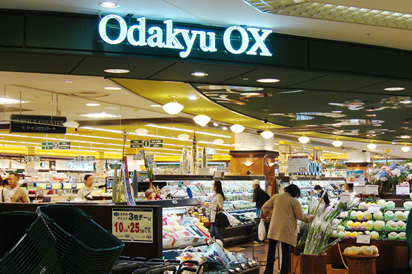 Odakyu OX