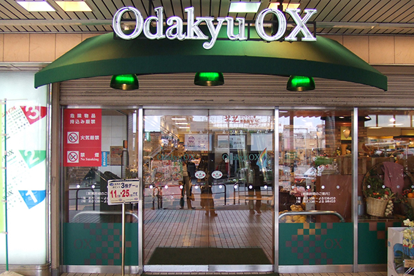 Odakyu OX