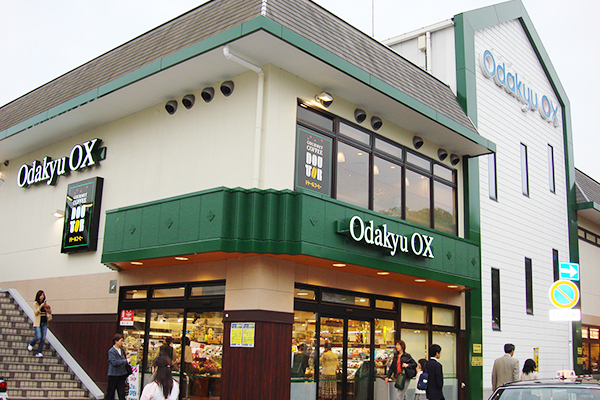 Odakyu OX