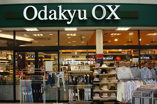 Odakyu OX