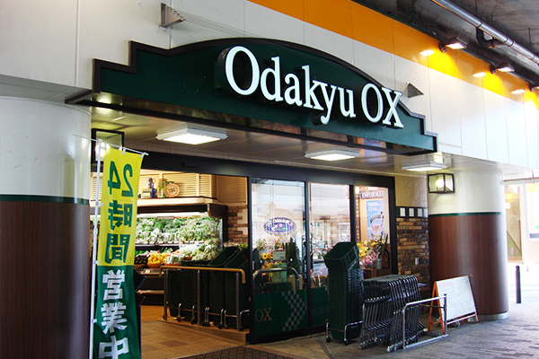 Odakyu OX