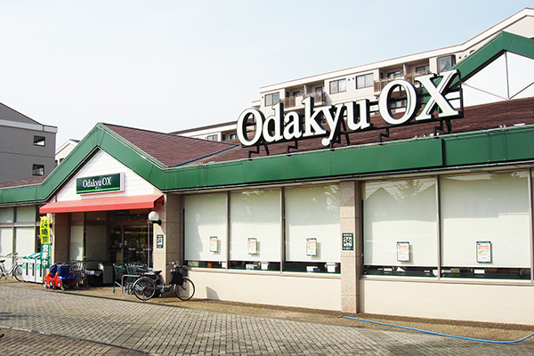 Odakyu OX