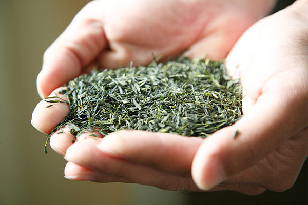 箱根の森から 緑茶