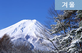 겨울