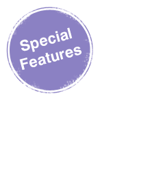 Special Features 후지산 특집