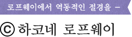 로프웨이에서 역동적인 절경을 - 
(C)하코네 로프웨이