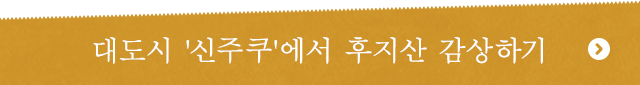 대도시 '신주쿠'에서 후지산 감상하기