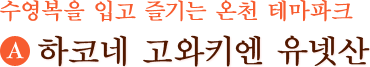 수영복을 입고 즐기는 온천 테마파크 (A)하코네 고와키엔 유넷산