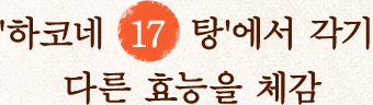 '하코네 17탕'에서 각기 다른 효능을 체감