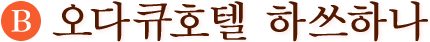 (B)오다큐호텔 하쓰하나