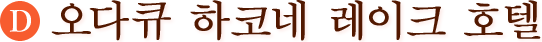 (D)오다큐 하코네 레이크 호텔