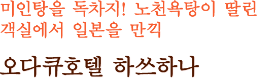 미인탕을 독차지! 노천욕탕이 딸린 객실에서 일본을 만끽 오다큐호텔 하쓰하나