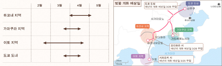 벚꽃 개화 예상일