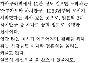 가마쿠라역에서 10분 정도 걸으면 도착하는 '쓰루가오카 하치만구'. 1063년부터 모시기 시작했다는 역사 깊은 곳으로, 일본의 3대 하치만구 중 하나로 꼽힐 정도로 유명한 신사이다.
연간 많은 제사가 이루어지며, 참배를 위해 찾는 사람들뿐 아니라 결혼식을 올리는 커플도 많다.
일본의 새신부를 볼 찬스가 있을지도. 