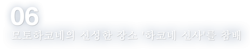 06 모토하코네의 신성한 장소 '하코네 신사'를 참배