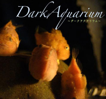 おやこのDarkAquarium －ダークアクアリウム－の画像