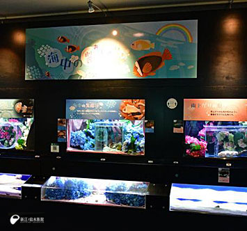 新江ノ島水族館 テーマ水槽「海中の紫陽花」