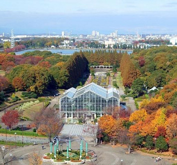 相模原公園の紅葉の画像