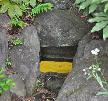 実篤公園の光藻（ヒカリモ）の画像